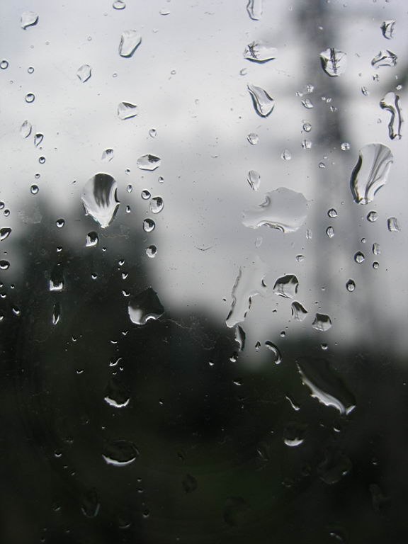 Валерий Орленко | Донецк