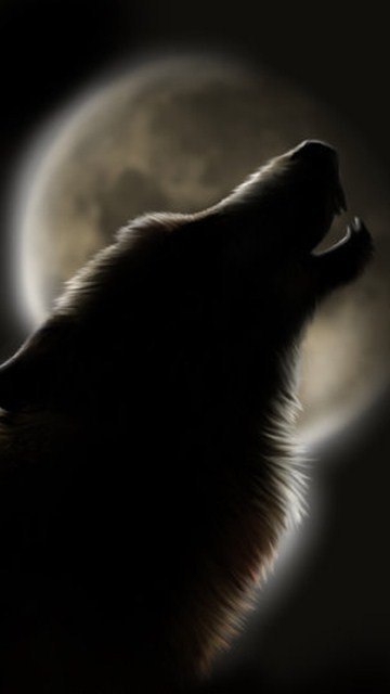 Глеб Саенко | Туапсе