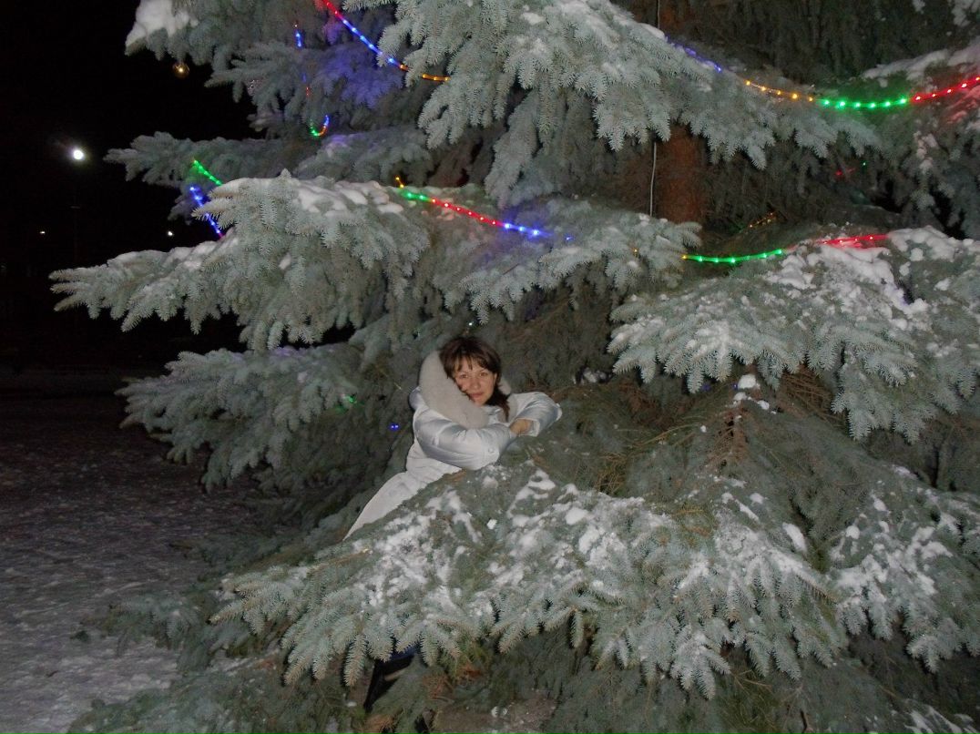 Ірина Микитка-Коржанівська | Львов