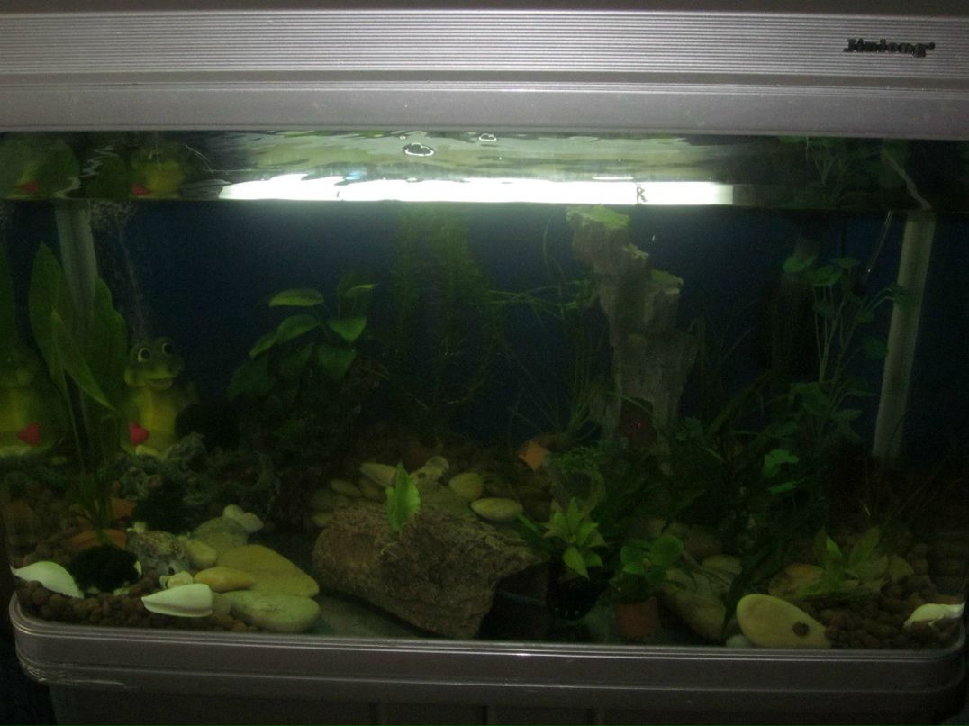 Евгения Адамсон ^Hi-chan^ | Москва