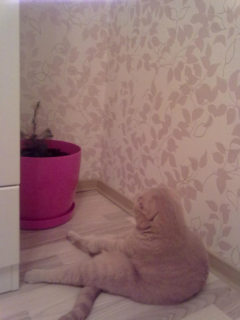 Алана Загидуллина | Черкесск