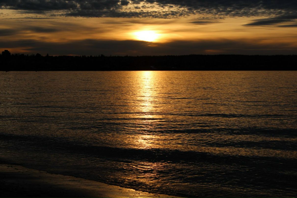 Александр Москаленко | Ялта