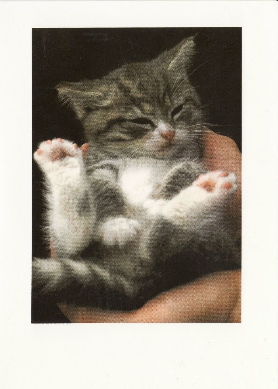 Игорь Ярославский Ruff | Одесса