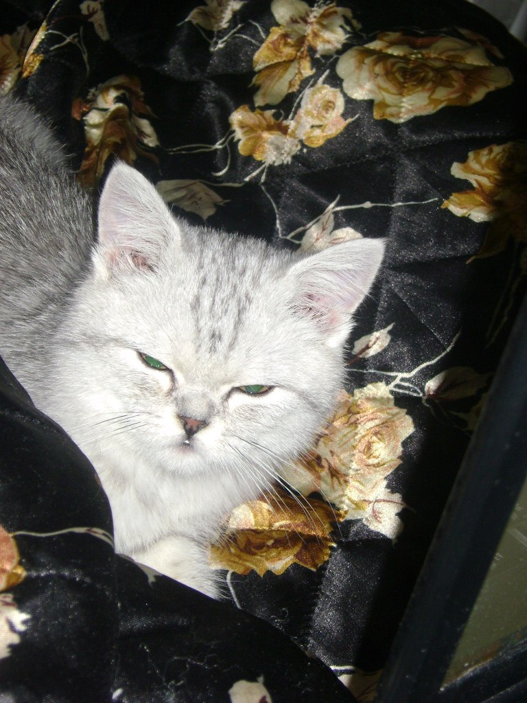 Юлия Рассохина | 