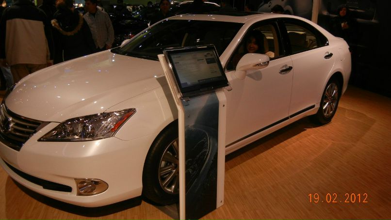 Эллина Керимова Yote | Toronto