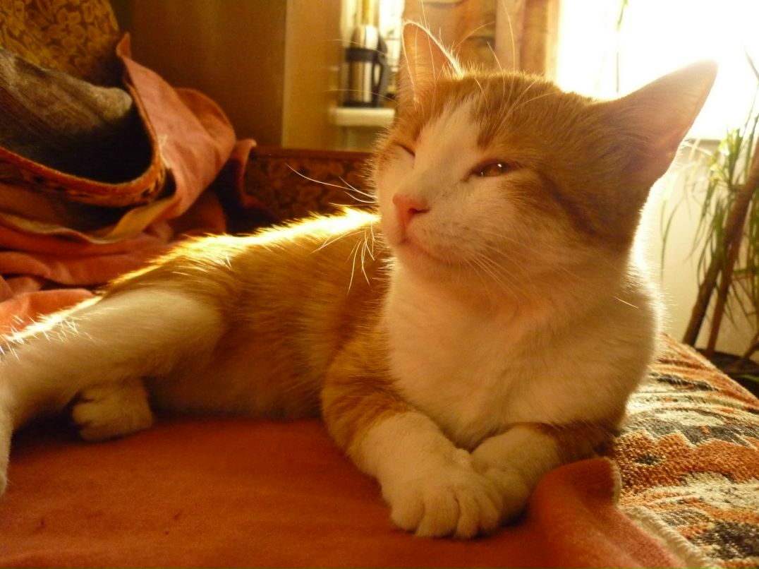 Дарья Соболева | Волгоград