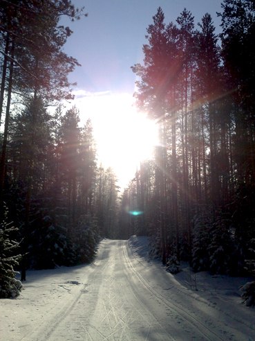 Алексей Горнистов | Нарва