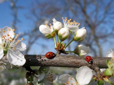 Катя Петрова | Москва