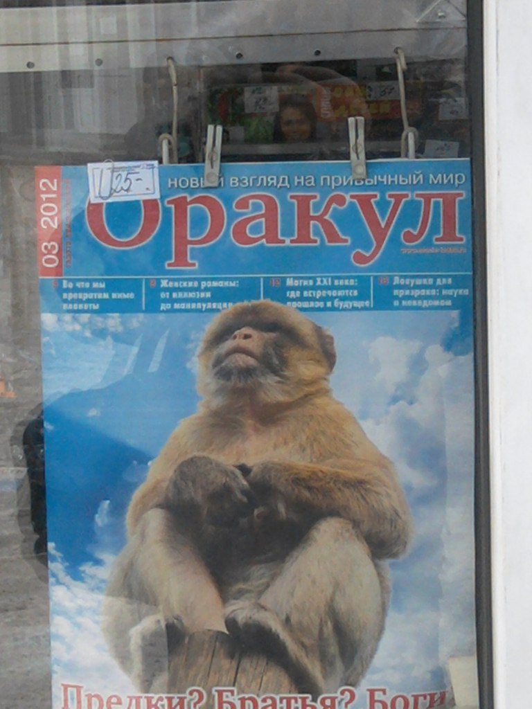 Кирилл Мищенков | Москва