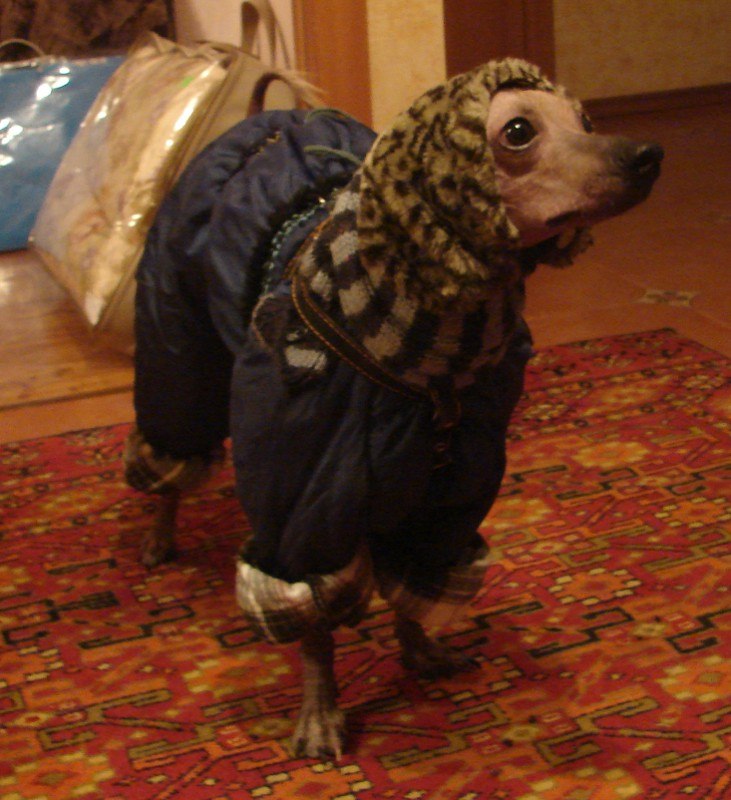 Евгений Кузнецов | Сургут