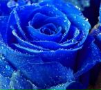 №13 Марина Смирнова 22.10: профиль, фото, статус - ВКонтакте