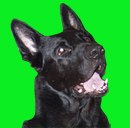 Владимир Пушкарёв | Санкт-Петербург