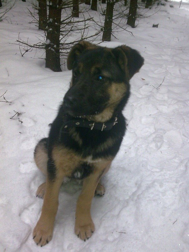 Паша Никулочкин Face-control | Калуга