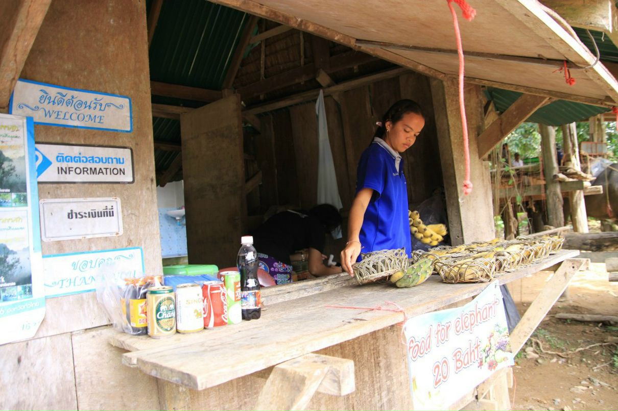 Александр Ковалёв | Paris