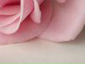 Юля Соколова | 