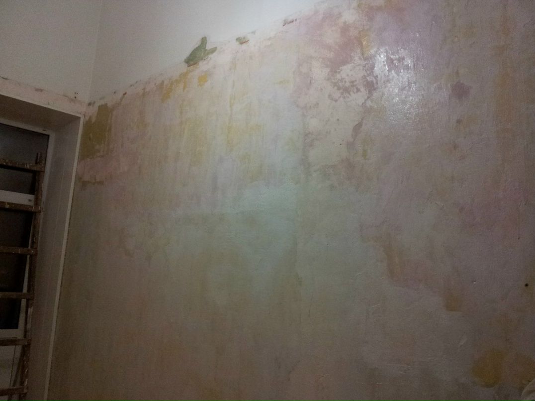 Илья Гасанов | Самара