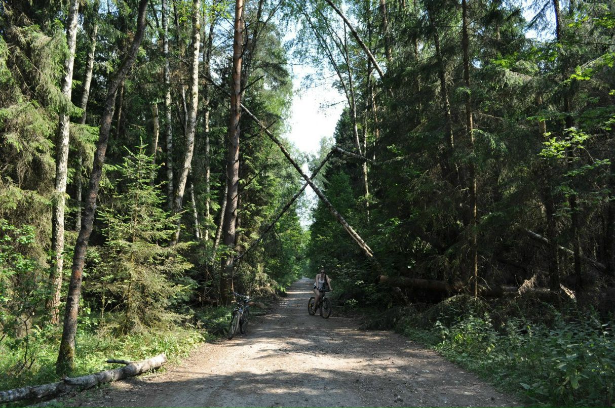 Ксения Столбова | Москва