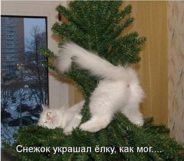 №64, Ирина Пономарёва, Северодвинск №64, Ирина Пономарёва, Северодвинск