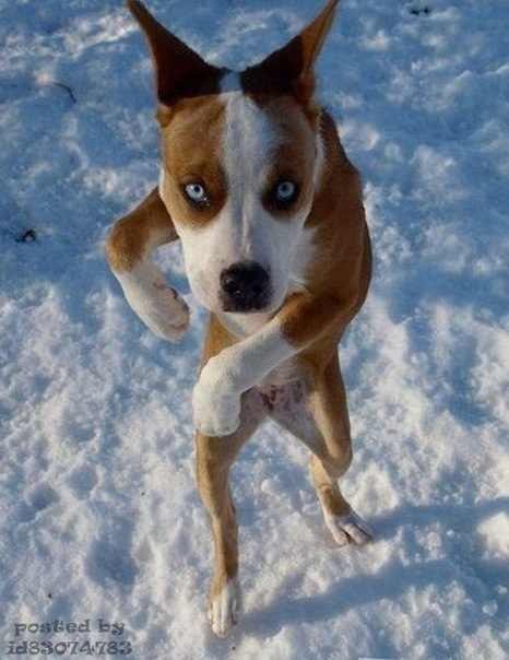 Евгений Ефремов WindHope | Омск