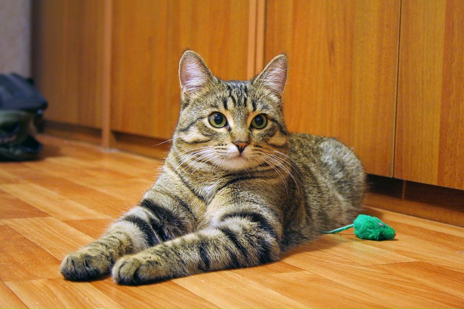 №24, Анастасия Матвеева №24, Анастасия Матвеева