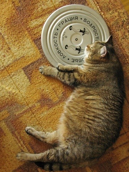 Александр Фатюшкин | Мурманск