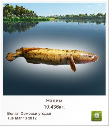 Виктор Батрак | 