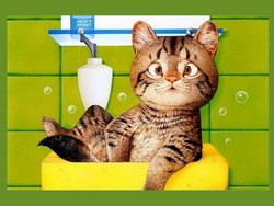 Елена Травнева | Москва