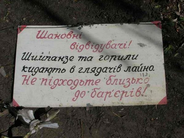 Наталья Борисова @треф@ | Санкт-Петербург