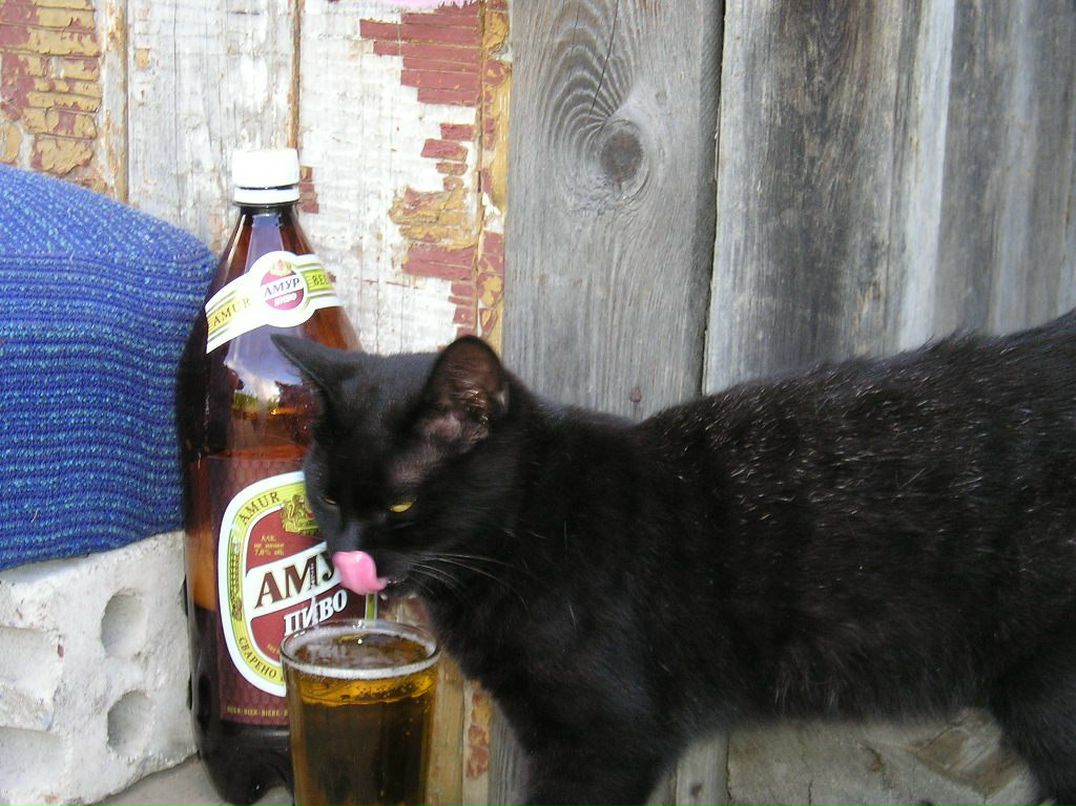 Павел Рытьков AntSpb | Санкт-Петербург