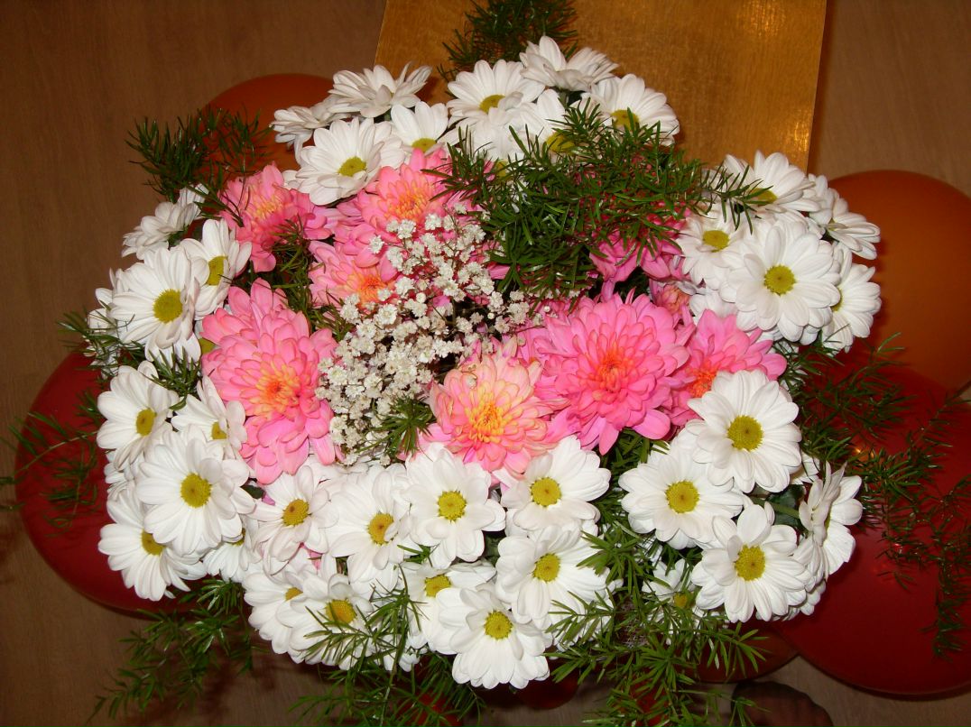 Юля Кіт KLYMBA | Винница