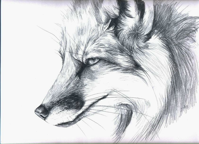 Константин Стригуновский | Старый Оскол