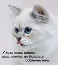 Фотография Галкиной Анны