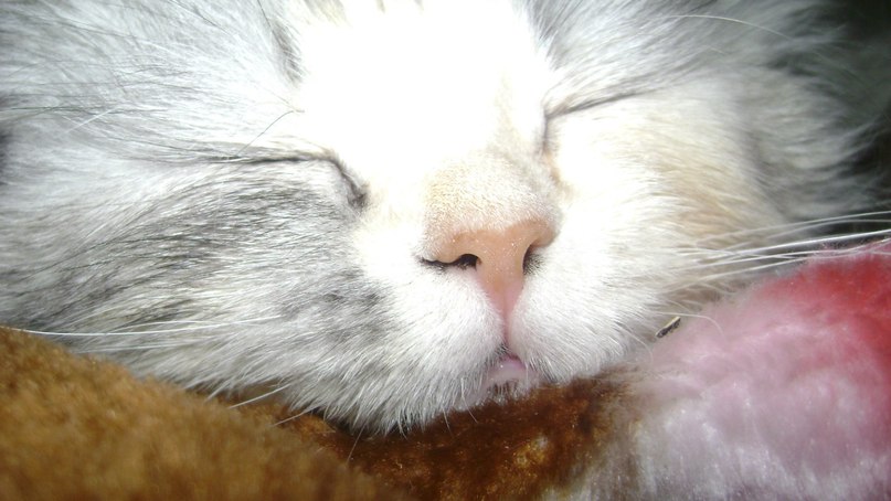 Наталья Заитова | Днепр (Днепропетровск)