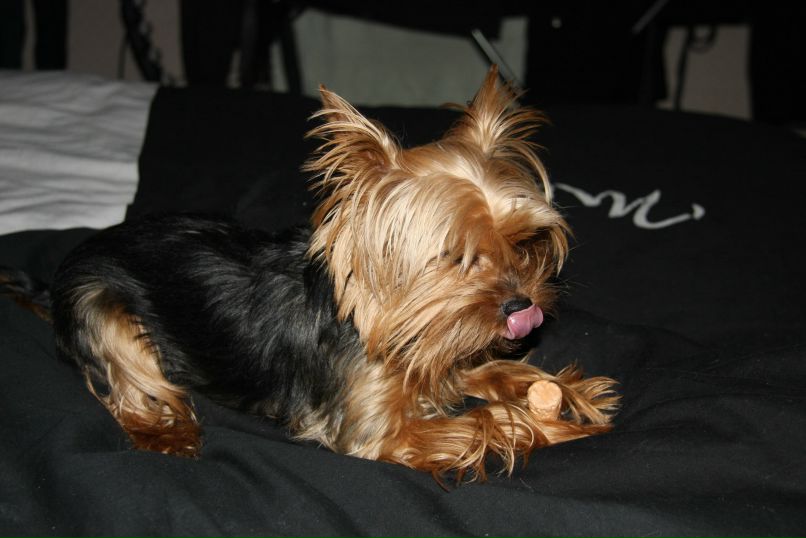 Олечка Титова princessa | Москва