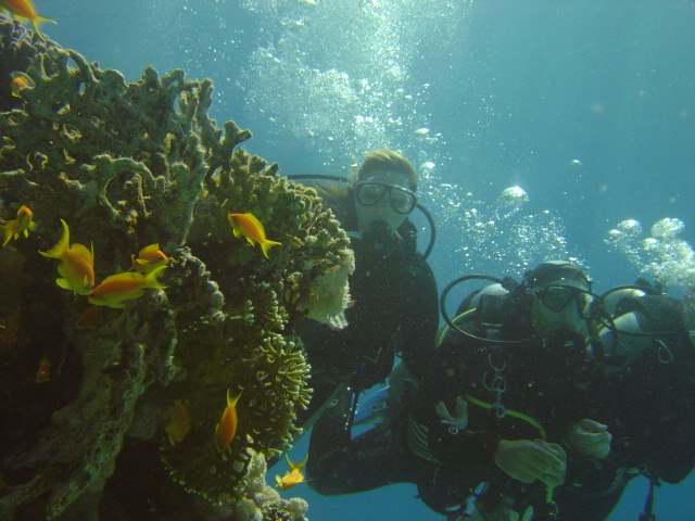 Юлия Задачина | Воронеж