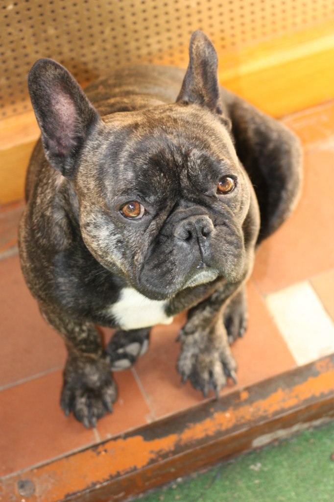 Дарья Морозова | Одесса