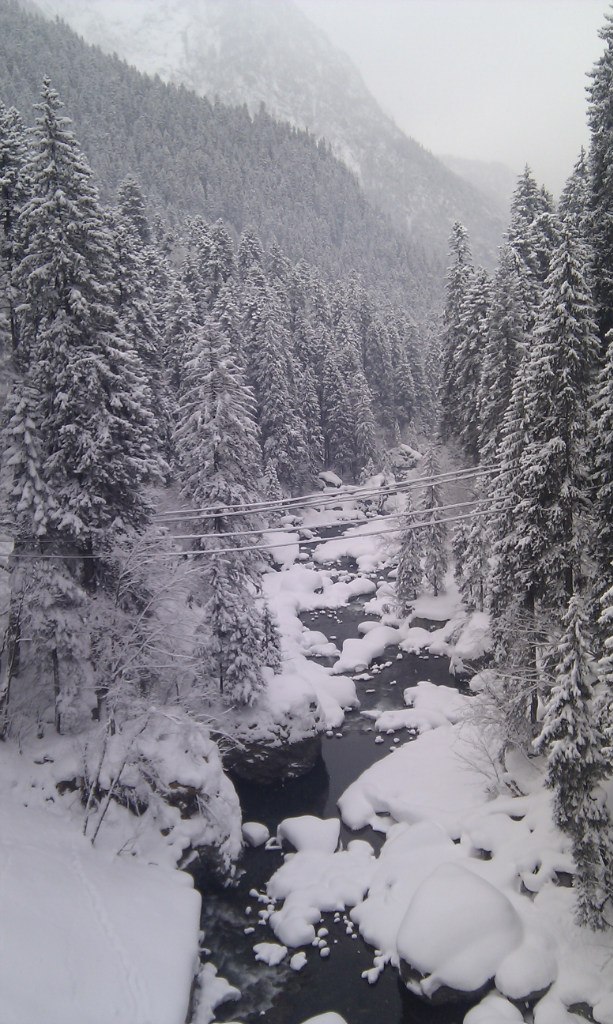 Елена Шалдунова | Ростов-на-Дону