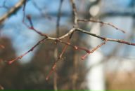 №19, Svetlana Papkova, Москва, Россия №19, Svetlana Papkova, Москва, Россия