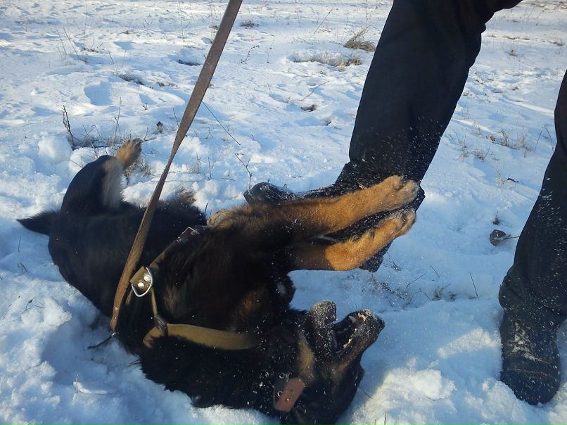 Алексей Ладушкин | Белореченск