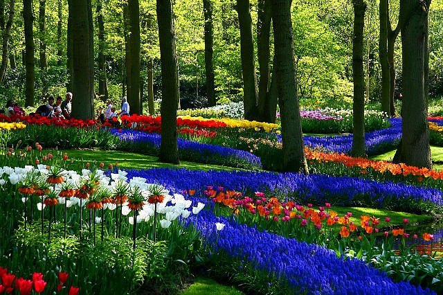 Yanina Pchelkina | Луцк