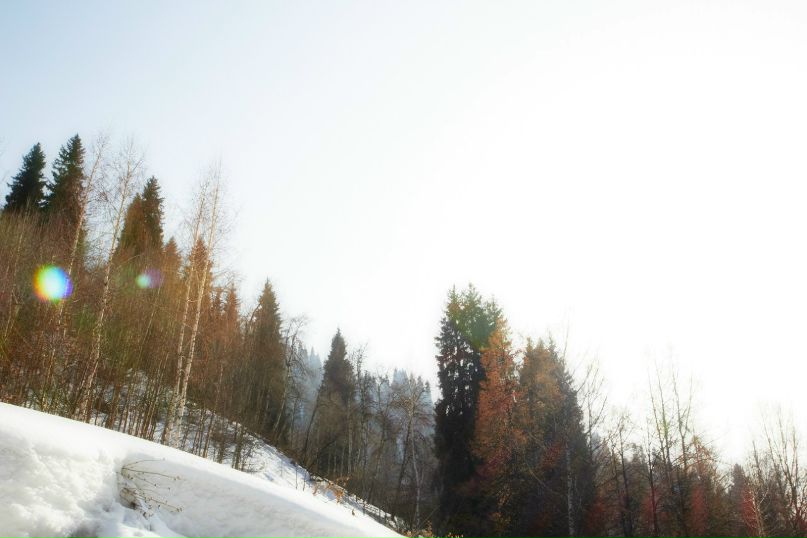 Денис Ермолаев | Алматы