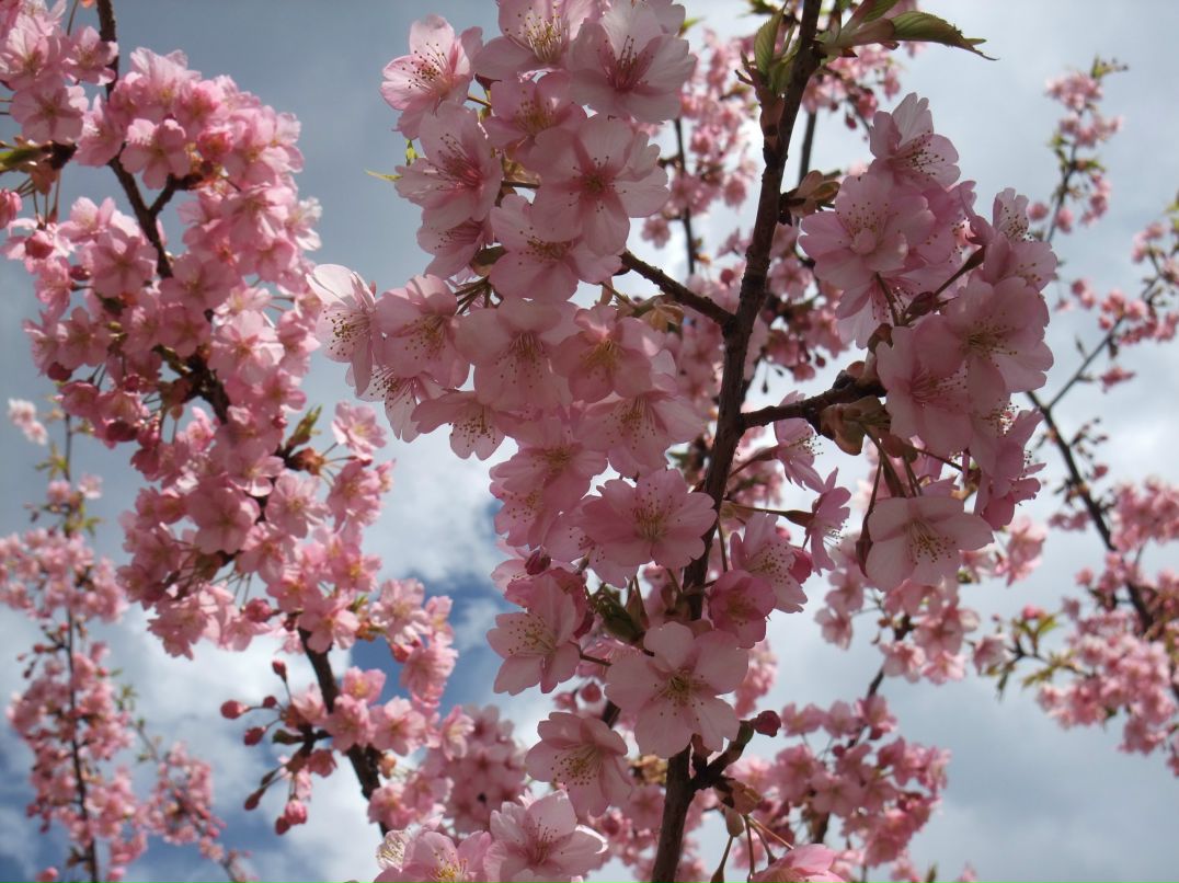 Юта Хорита | Москва