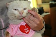 №4 Маша Бикезина : профиль, фото, статус - ВКонтакте №4 Маша Бикезина : профиль, фото, статус - ВКонтакте