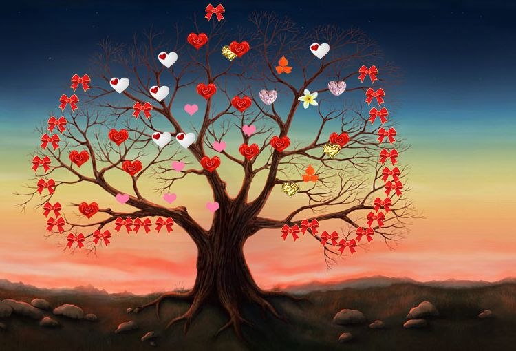 Арина Кудрявцева | Нифантово