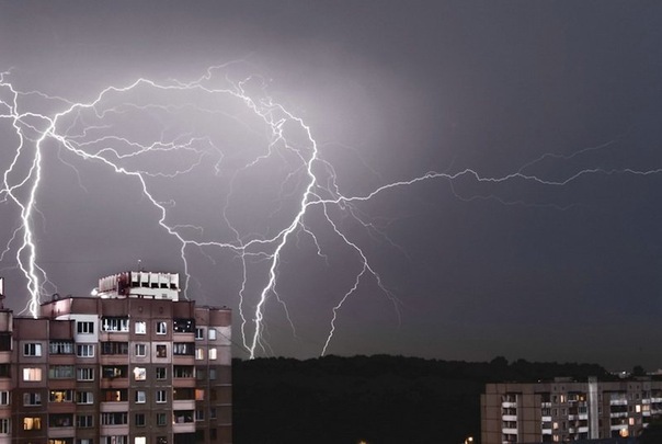 №15, Demonica Maglowski №15, Demonica Maglowski