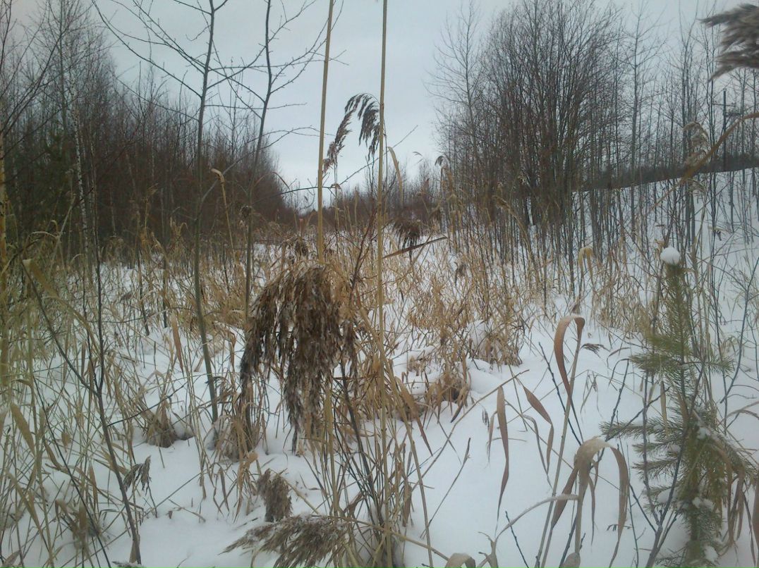 Александр Бугуртов | Стрежевой