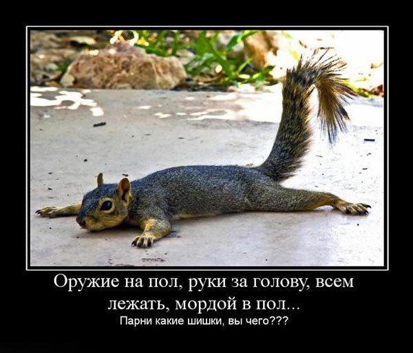 Артем Волков | Днепр (Днепропетровск)