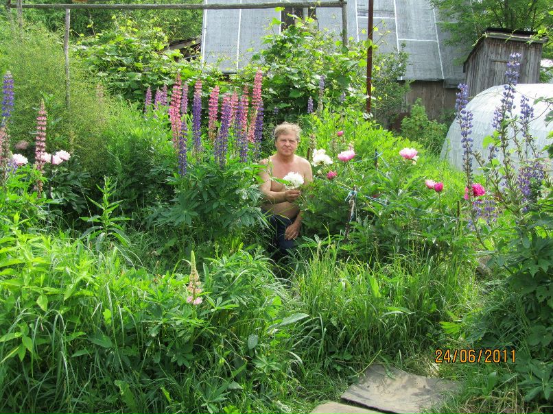 Владимир Филимонов | Череповец