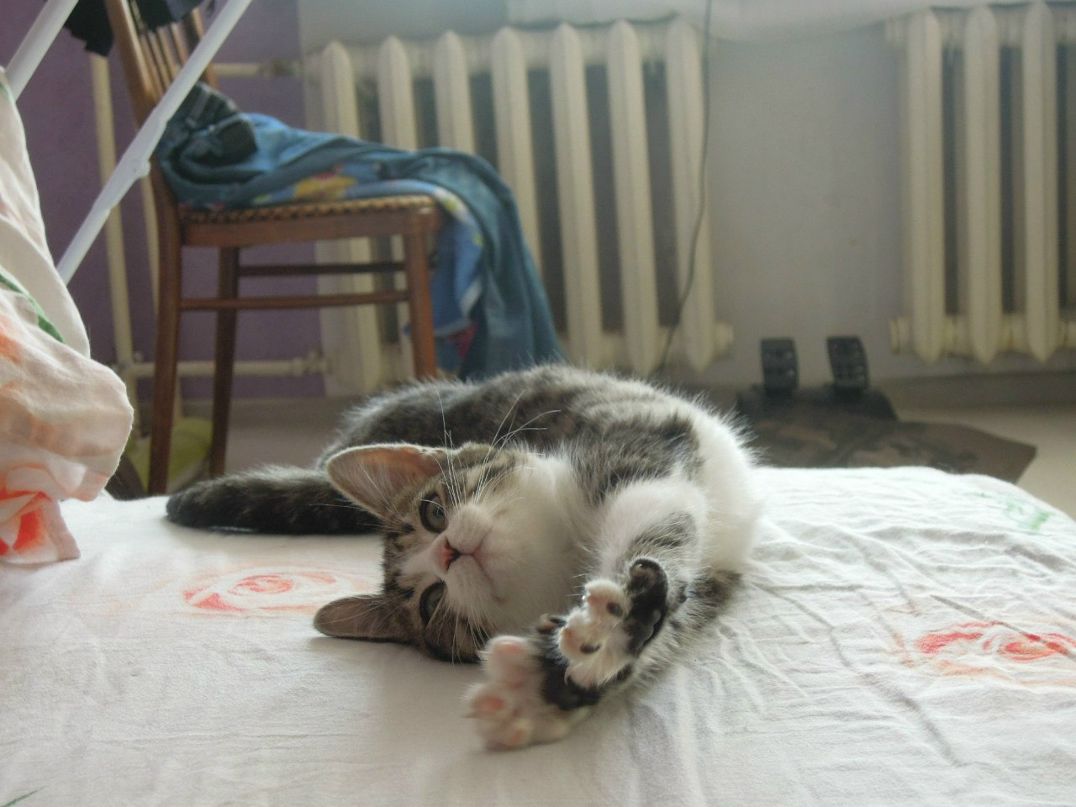 Александр Темашев SanchoED | Уфа