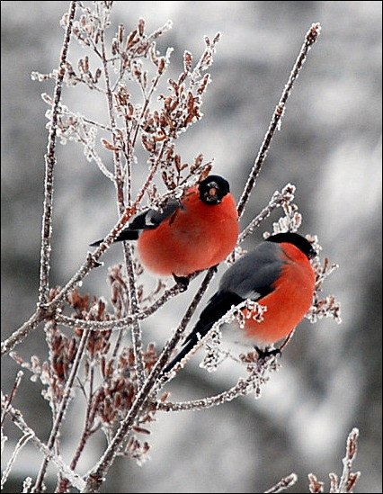 Екатерина Поминова | 